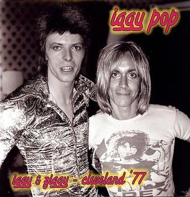 Iggy Pop