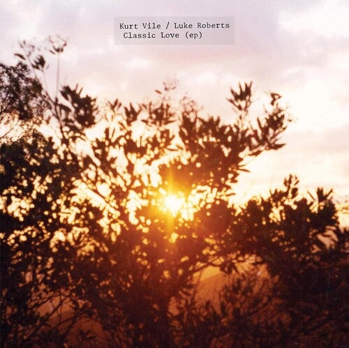 Kurt Vile / Luke Roberts