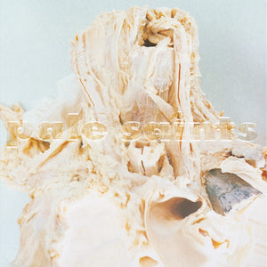 Pale Saints