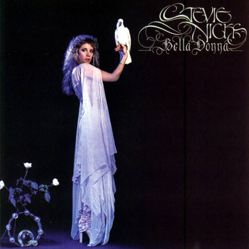 Stevie Nicks (Fleetwood Mac)