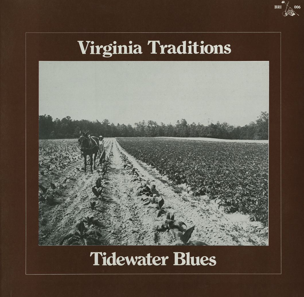 Various (Carl Hodges, Back Porch Boys, William Moore)
