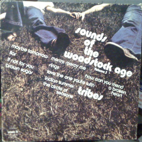 Various: (Sounds Of The Woodstock Age)