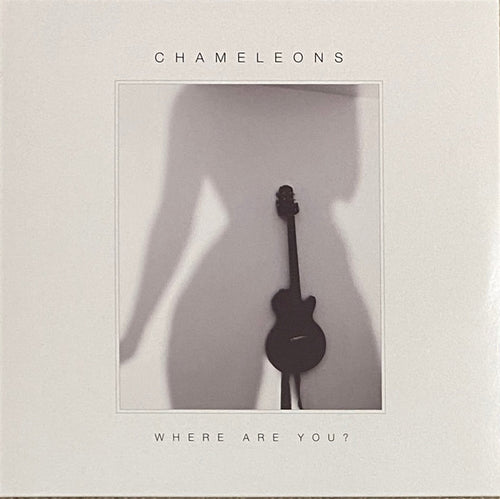 Chameleons