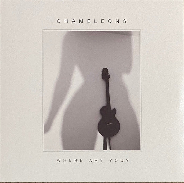 Chameleons