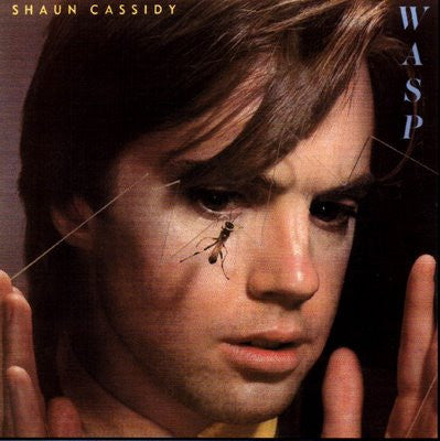 Shaun Cassidy