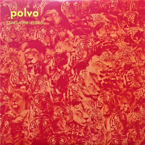 Polvo
