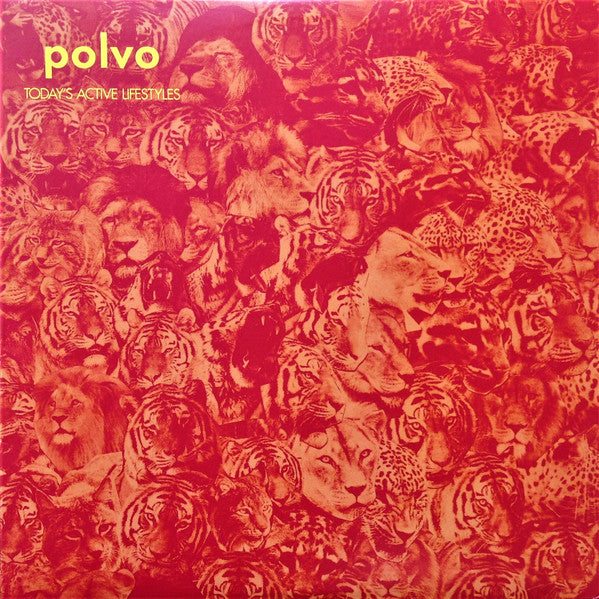 Polvo