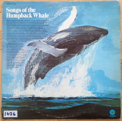 Songs Of The Humpback Whale