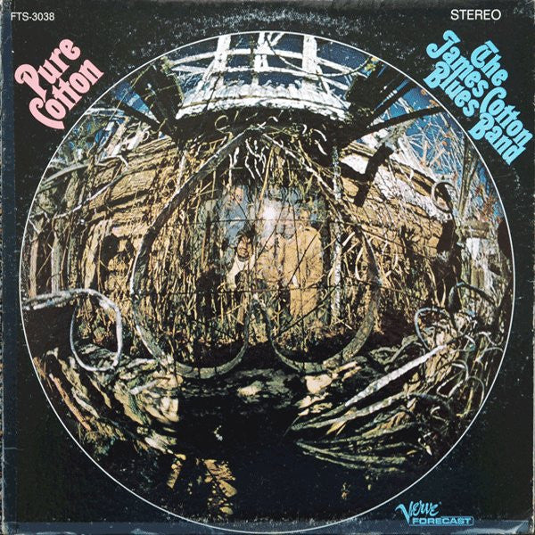 James Cotton Blues Band