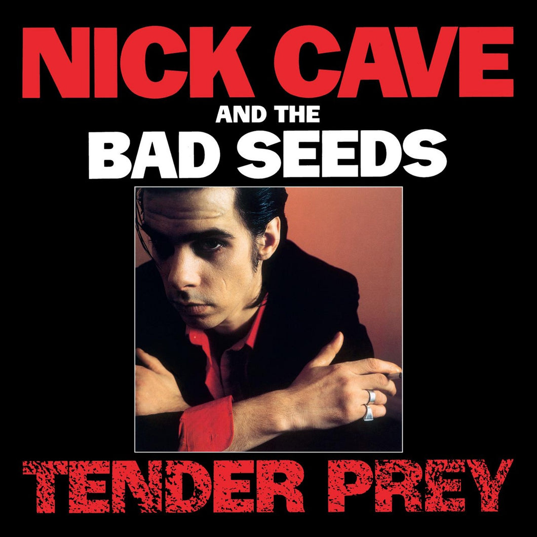 Nick Cave and the Bad Seeds