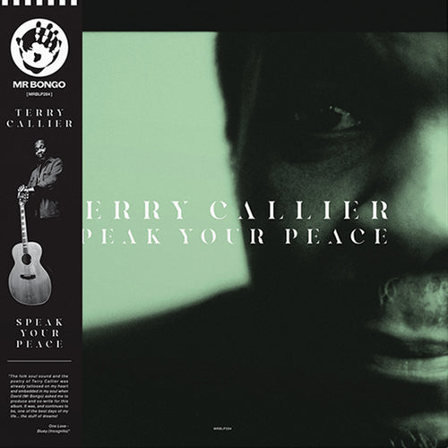 Terry Callier