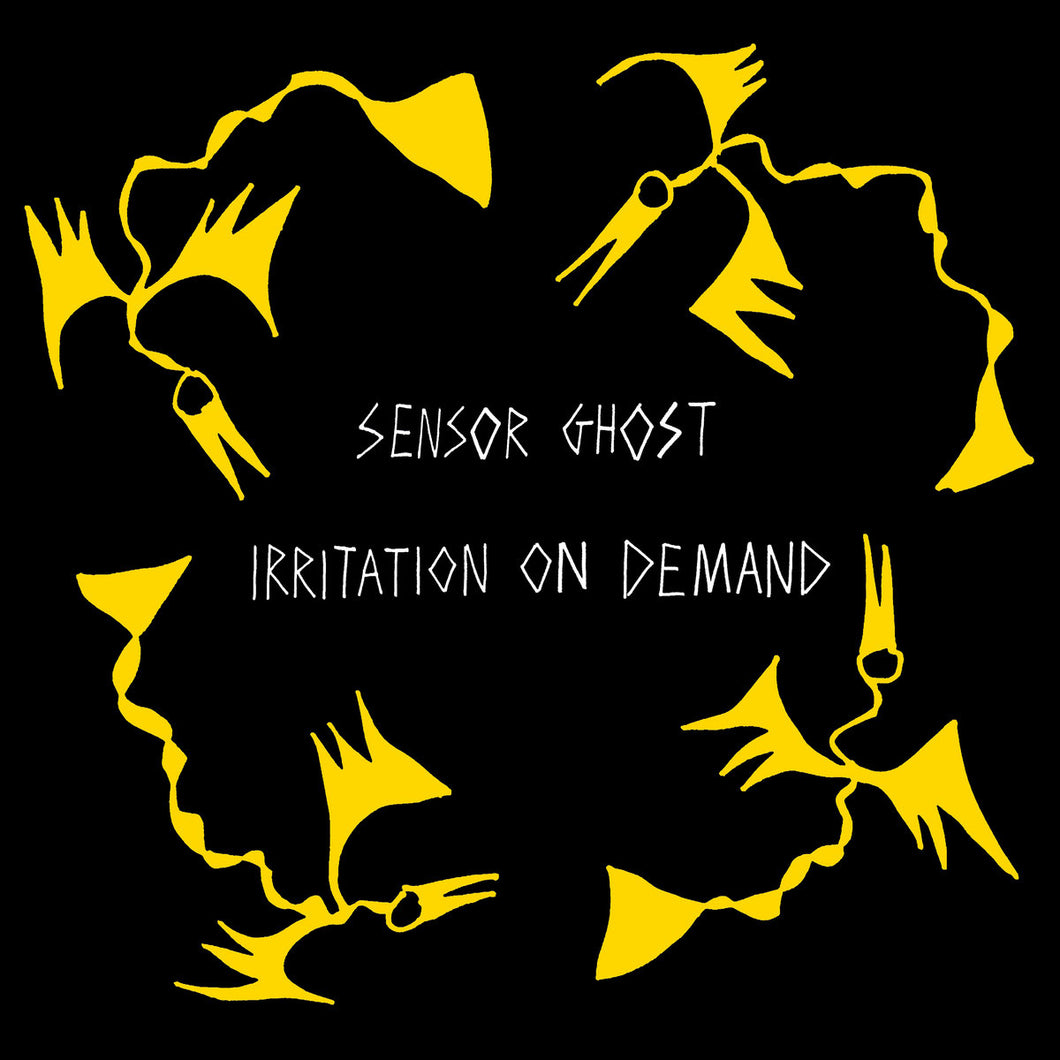 Sensor Ghost