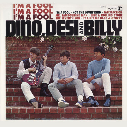 Dino Desi and Billy