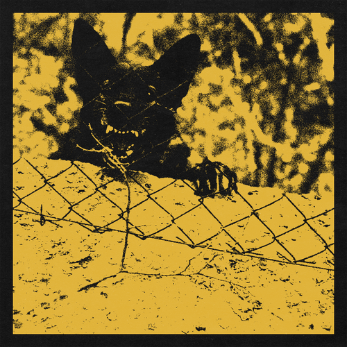 Soft Kill / Lesser Care