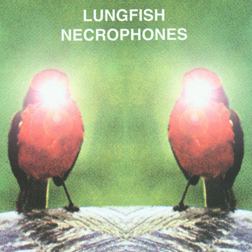 Lungfish
