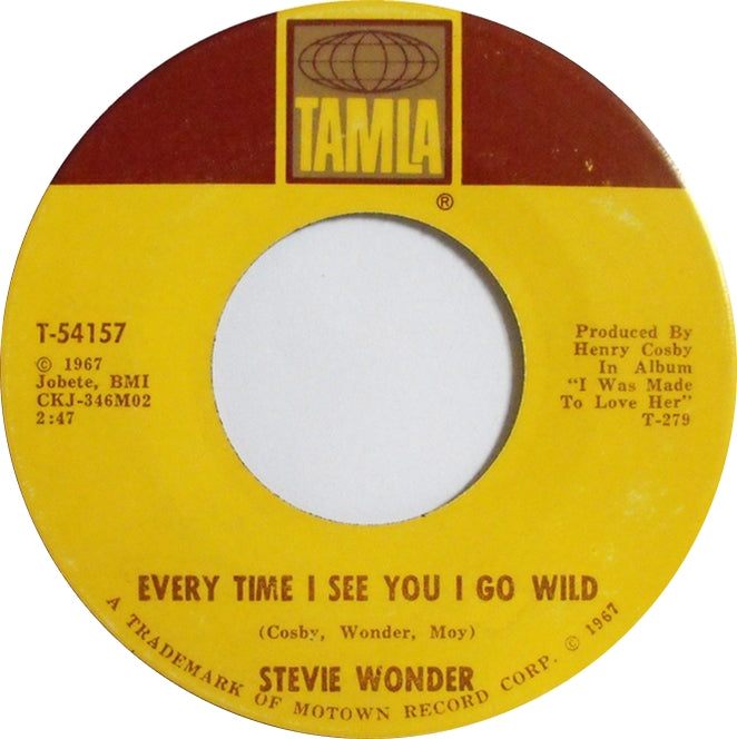 Stevie Wonder