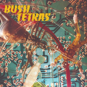 Bush Tetras
