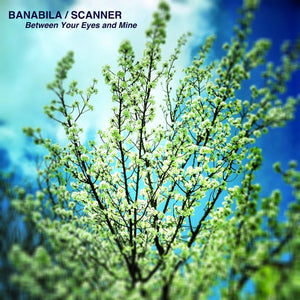 Banabila / Scanner